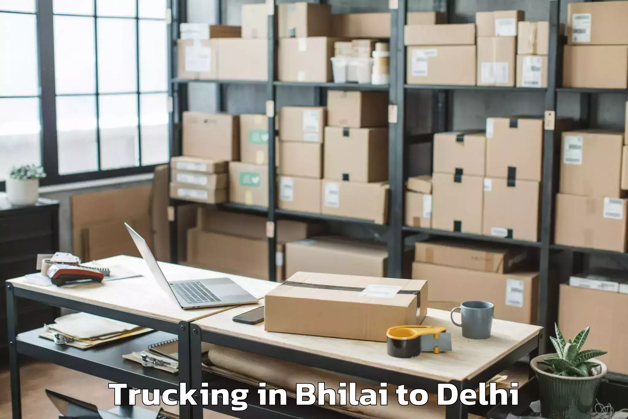 Easy Bhilai to Pitampura Trucking Booking